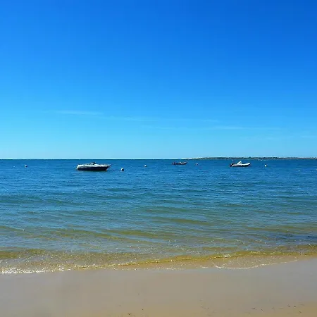 Daire Centre - T2 Avec Balcon, Parking Securise, Proche Gare, Commerces Et - Fr-1-420-90 Arcachon